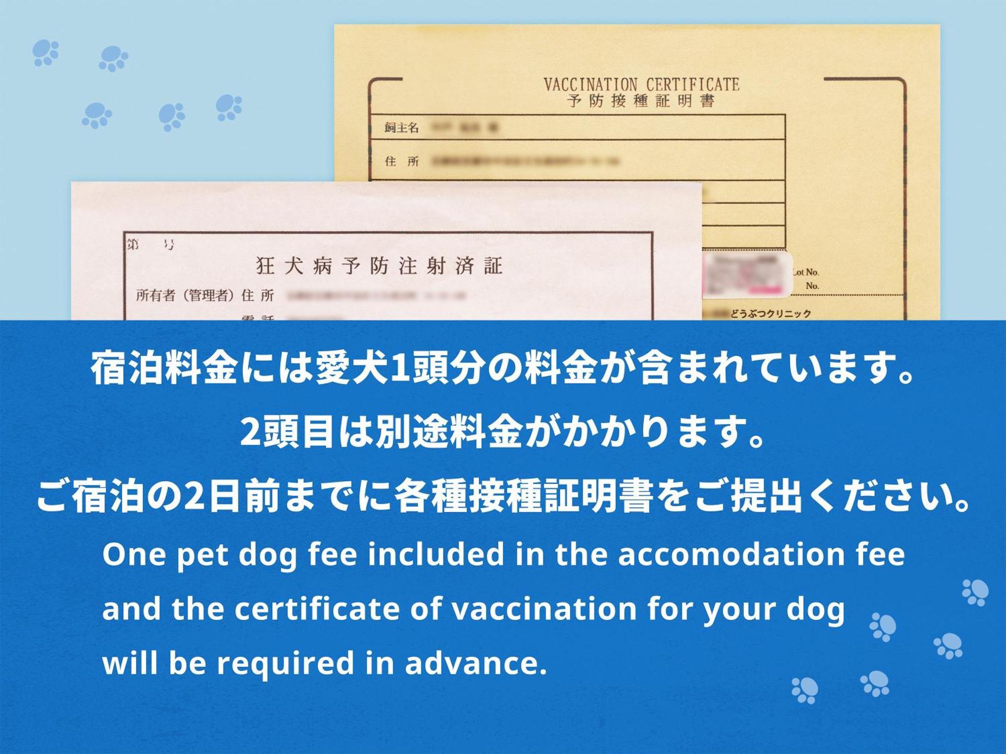 Hotel Anddoggy Kyoto Nijo Δωμάτιο φωτογραφία