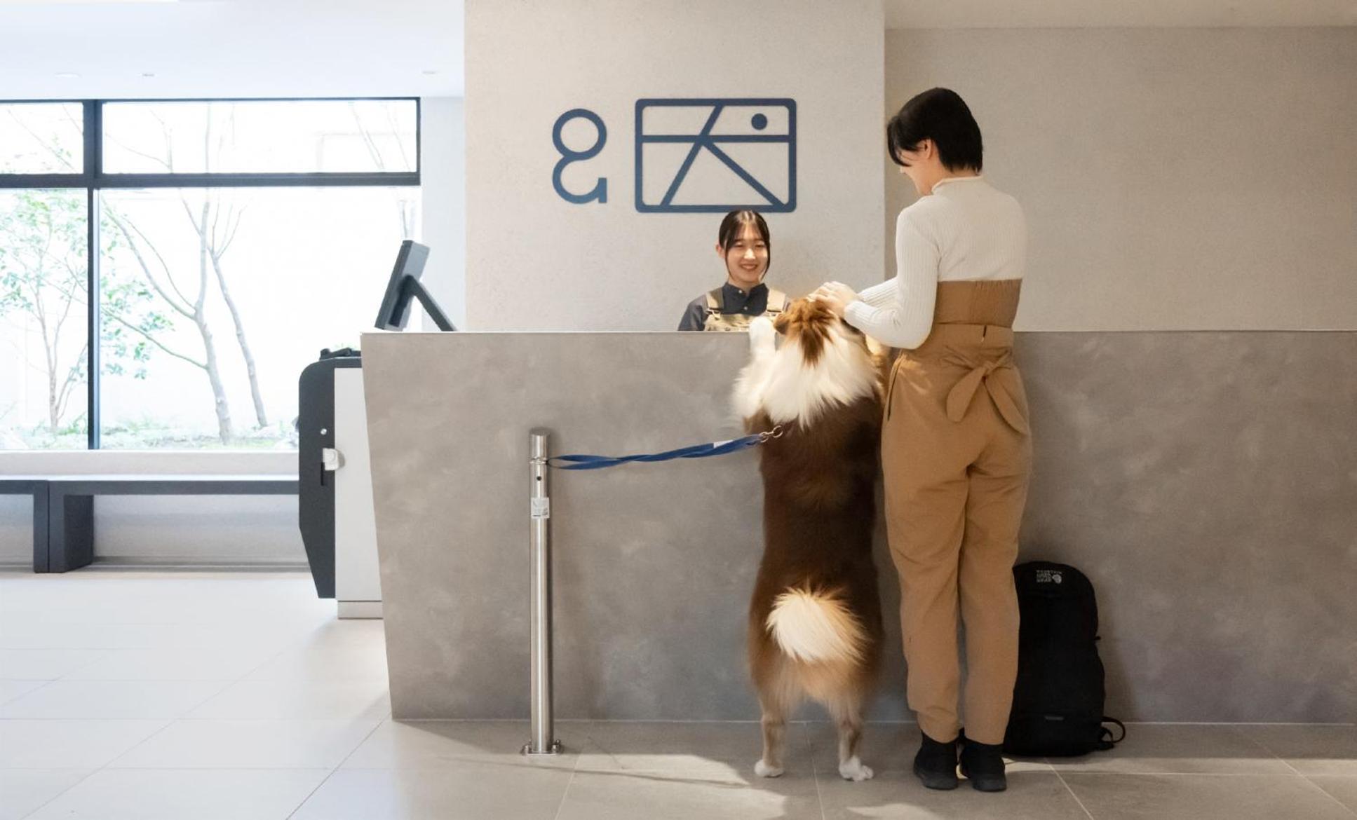 Hotel Anddoggy Kyoto Nijo Εξωτερικό φωτογραφία