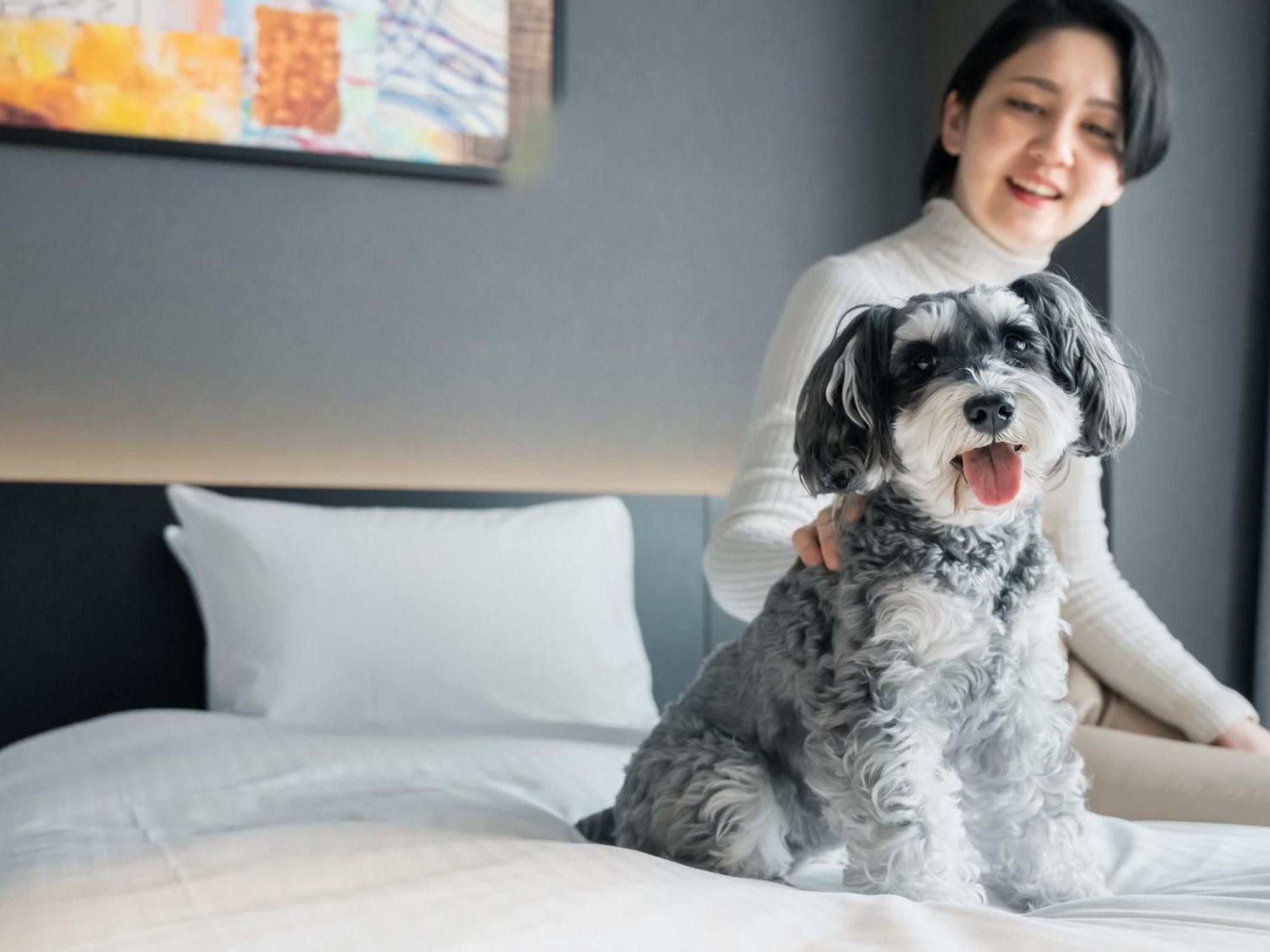 Hotel Anddoggy Kyoto Nijo Εξωτερικό φωτογραφία