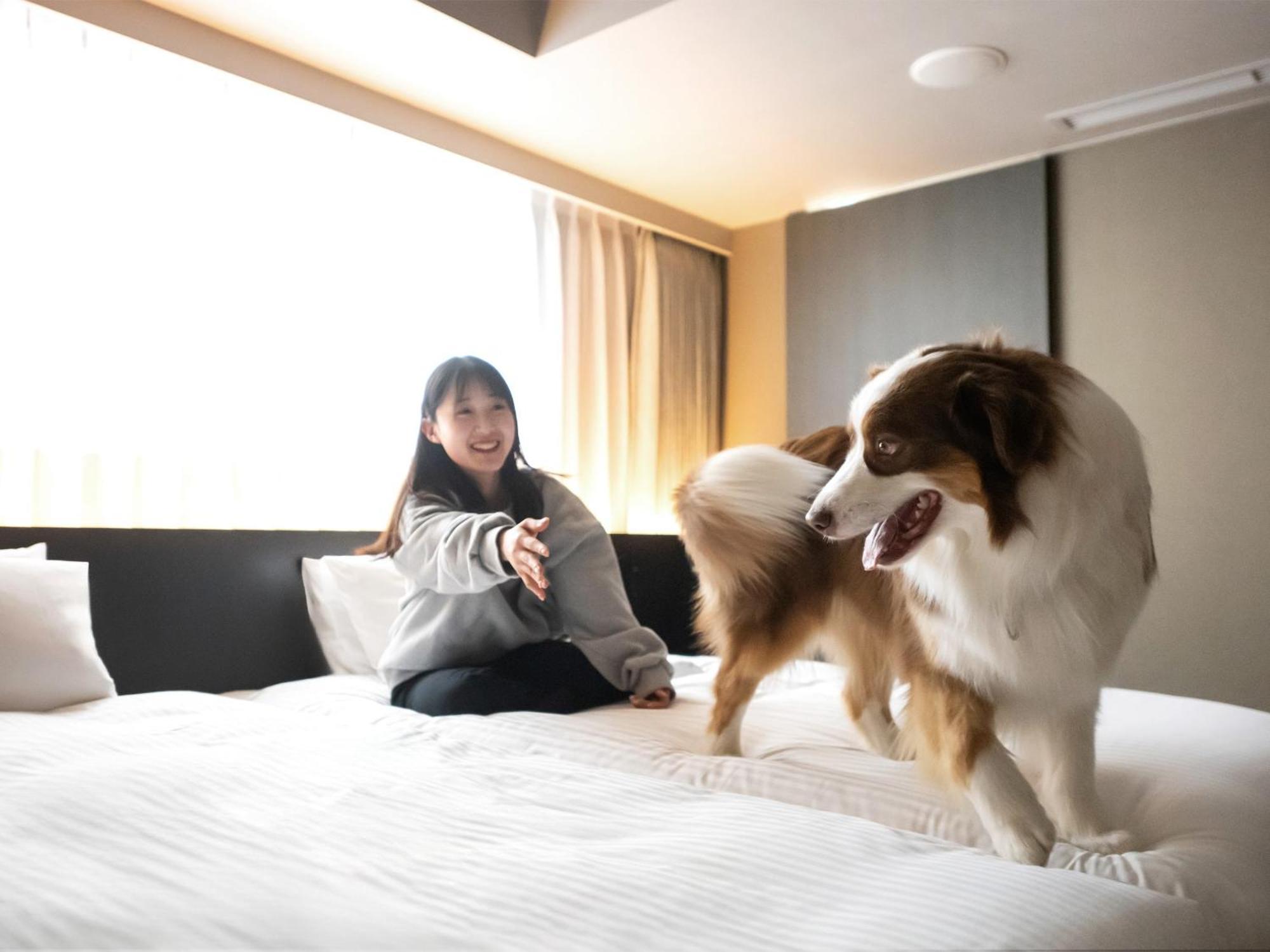 Hotel Anddoggy Kyoto Nijo Εξωτερικό φωτογραφία